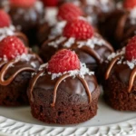 Chocolate Dipped Raspberry Brownie Bites