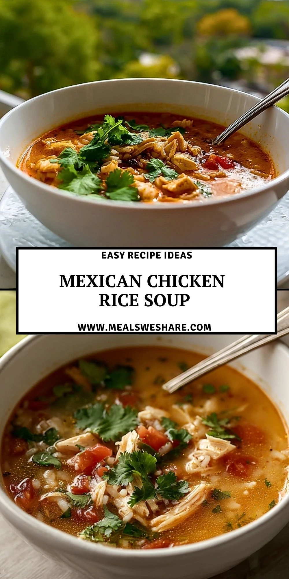 Mexican Chicken Rice Soup - Pin 1