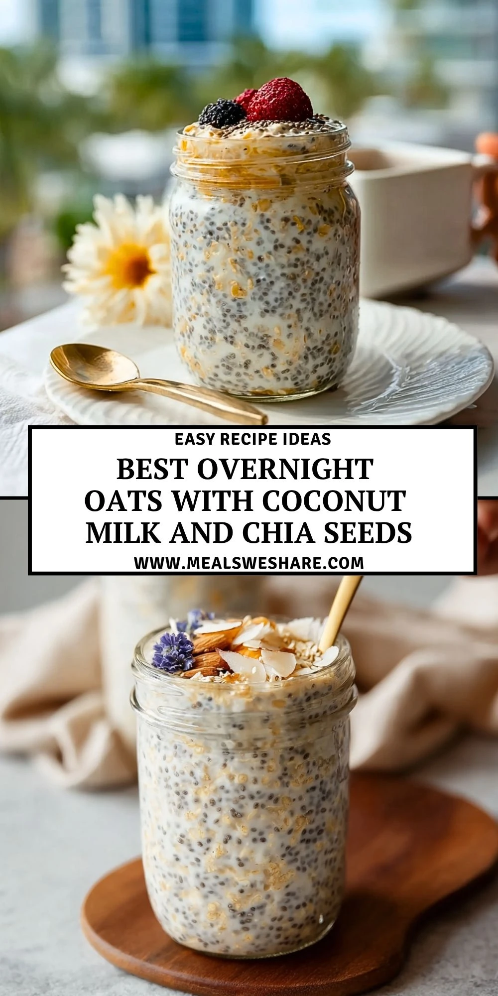 Best Overnight Oats With Coconut Milk And Chia Seeds - Pin 1